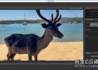 AI自动化视频增强色彩校正AE/PR插件REVisionFX Color Genius Plus 2025.4 CE Win一键安装版
