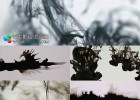 高清视频素材-60组中国风水墨滴落印迹墨水散开晕染遮罩转场 年会员免费下载