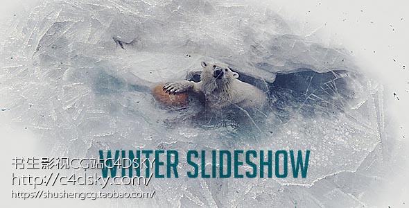 AE模板免费下载; 书生C4DSKY;Videohive Winter Project Slideshow，atmosphere, christmas, cool, ice, intro, memories, modern, new year, opener, photo, promo, stylish, titles, vintage, winter