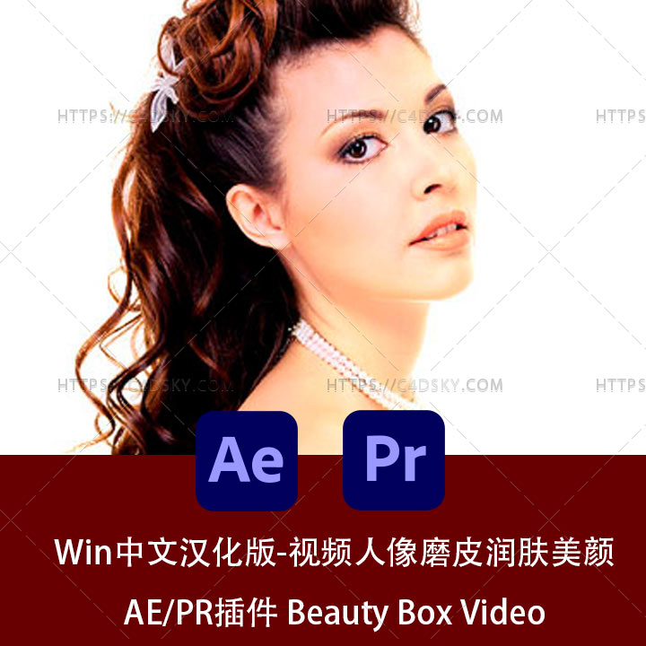 中文汉化版-视频人像磨皮润肤美颜AE/PR插件Beauty Box Video 4.3.0 win 